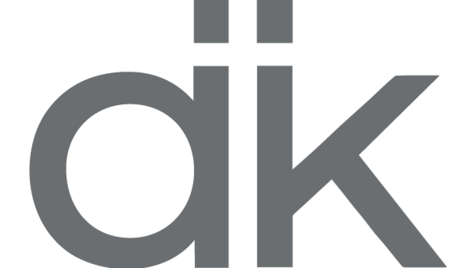 dk logo grey 2